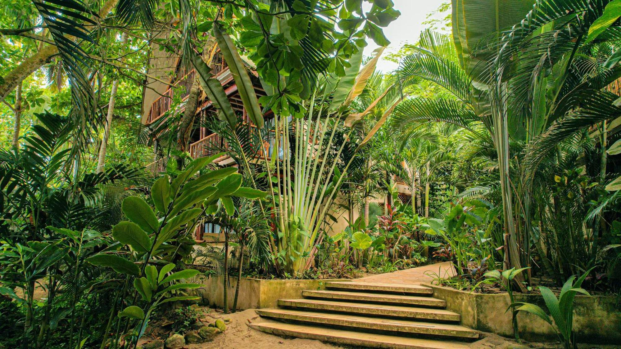 Masaya Tayrona & Beach Club Guachaca Exterior foto
