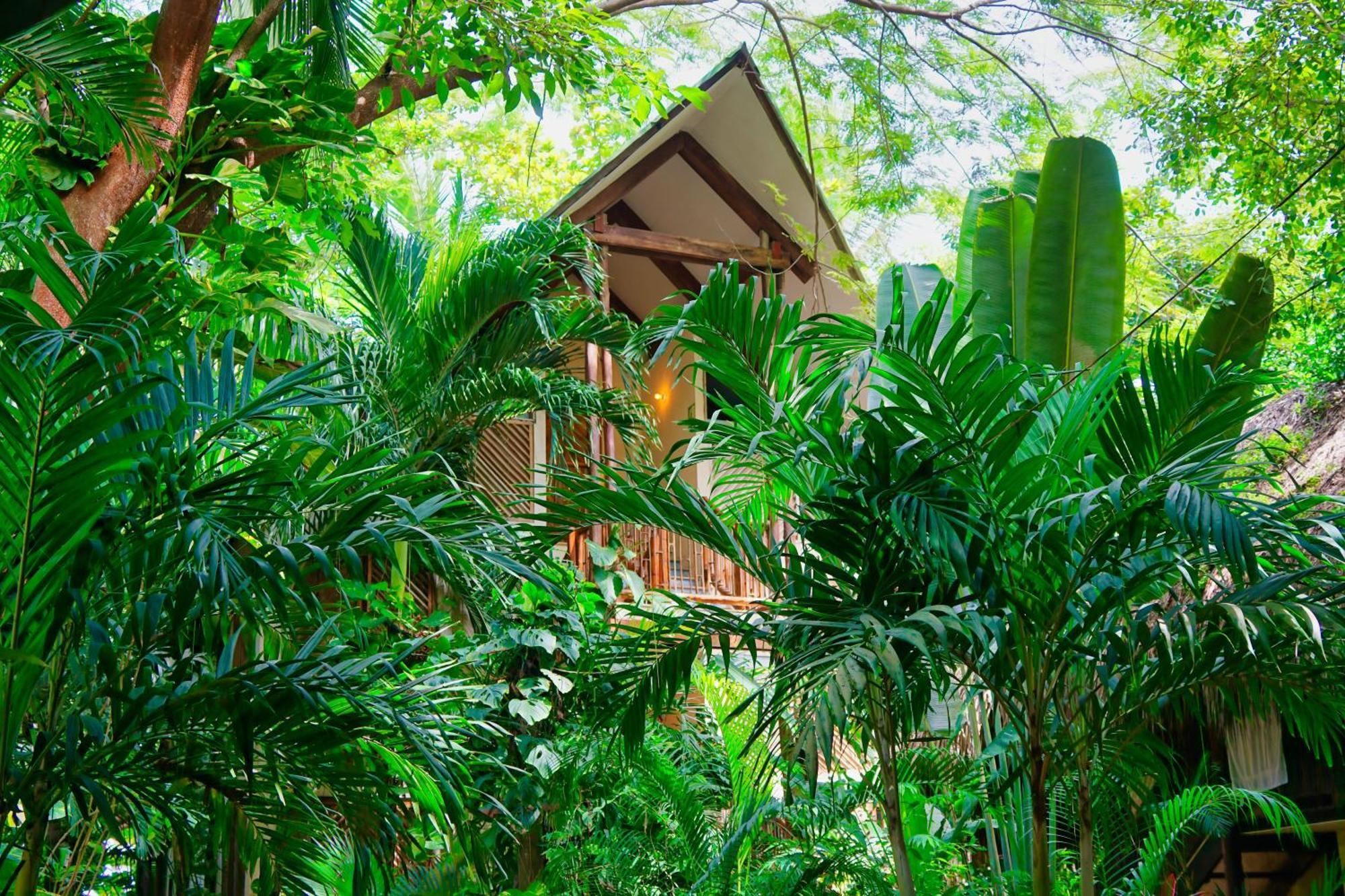 Masaya Tayrona & Beach Club Guachaca Exterior foto